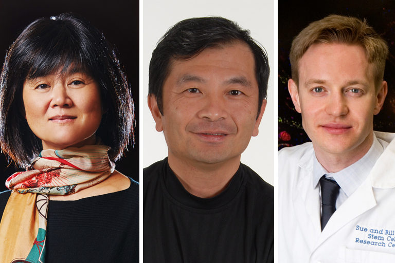 3 professors