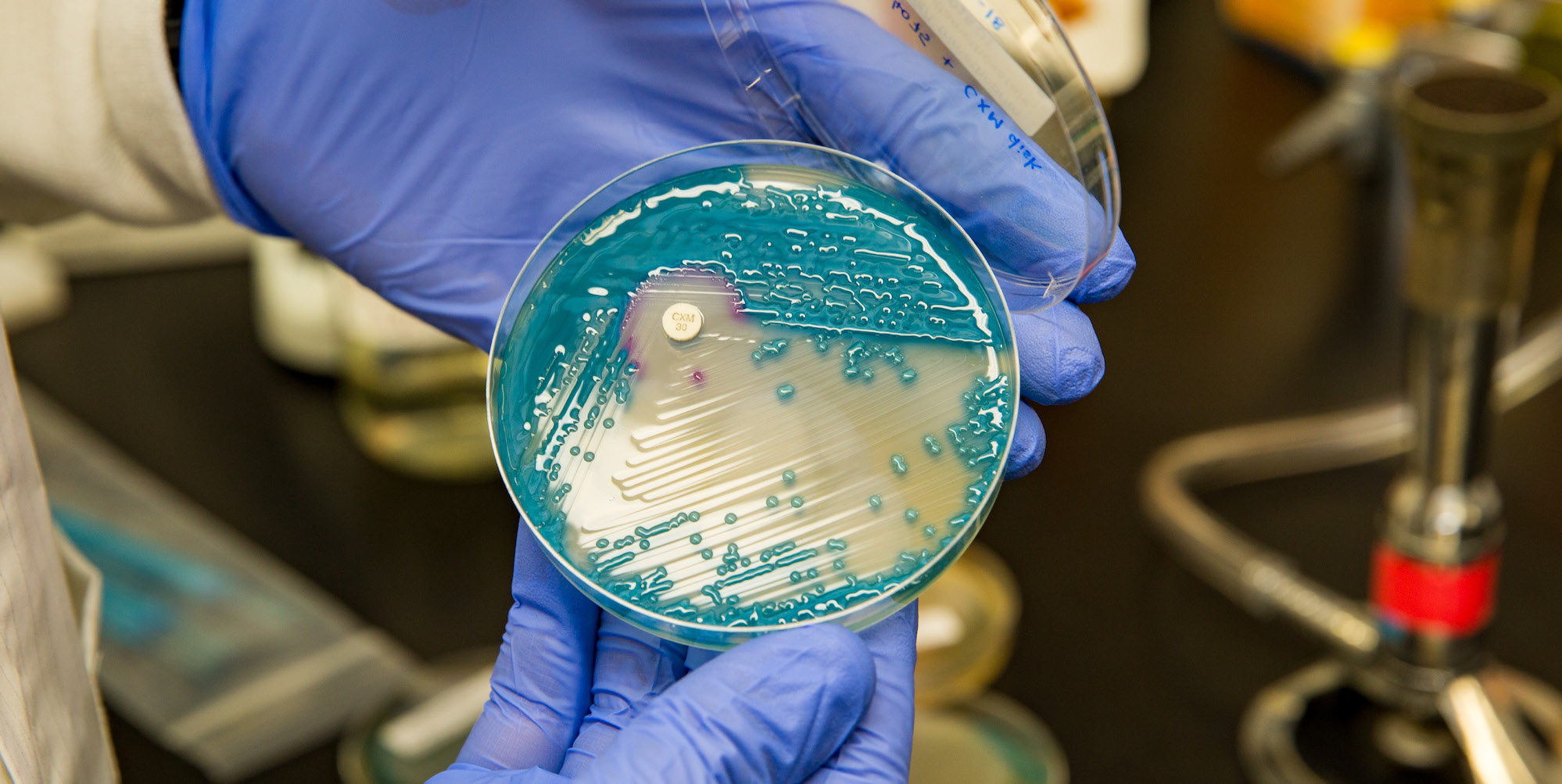 1 professor in his lab