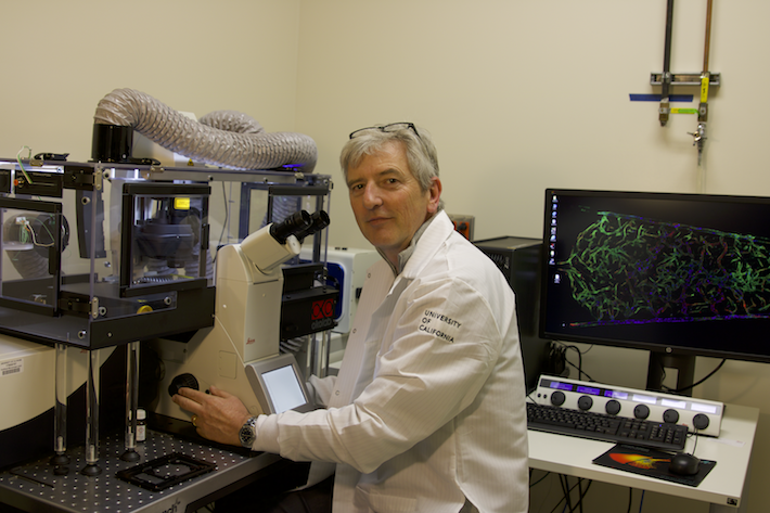 1 professor in his lab