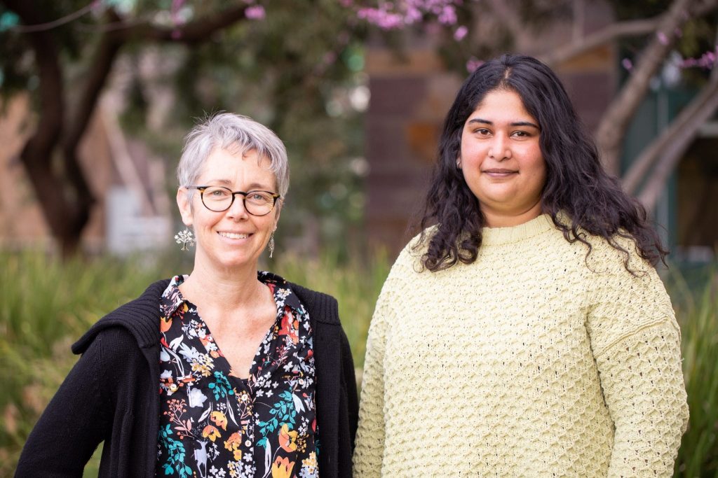1 Professor and 1 Researcher