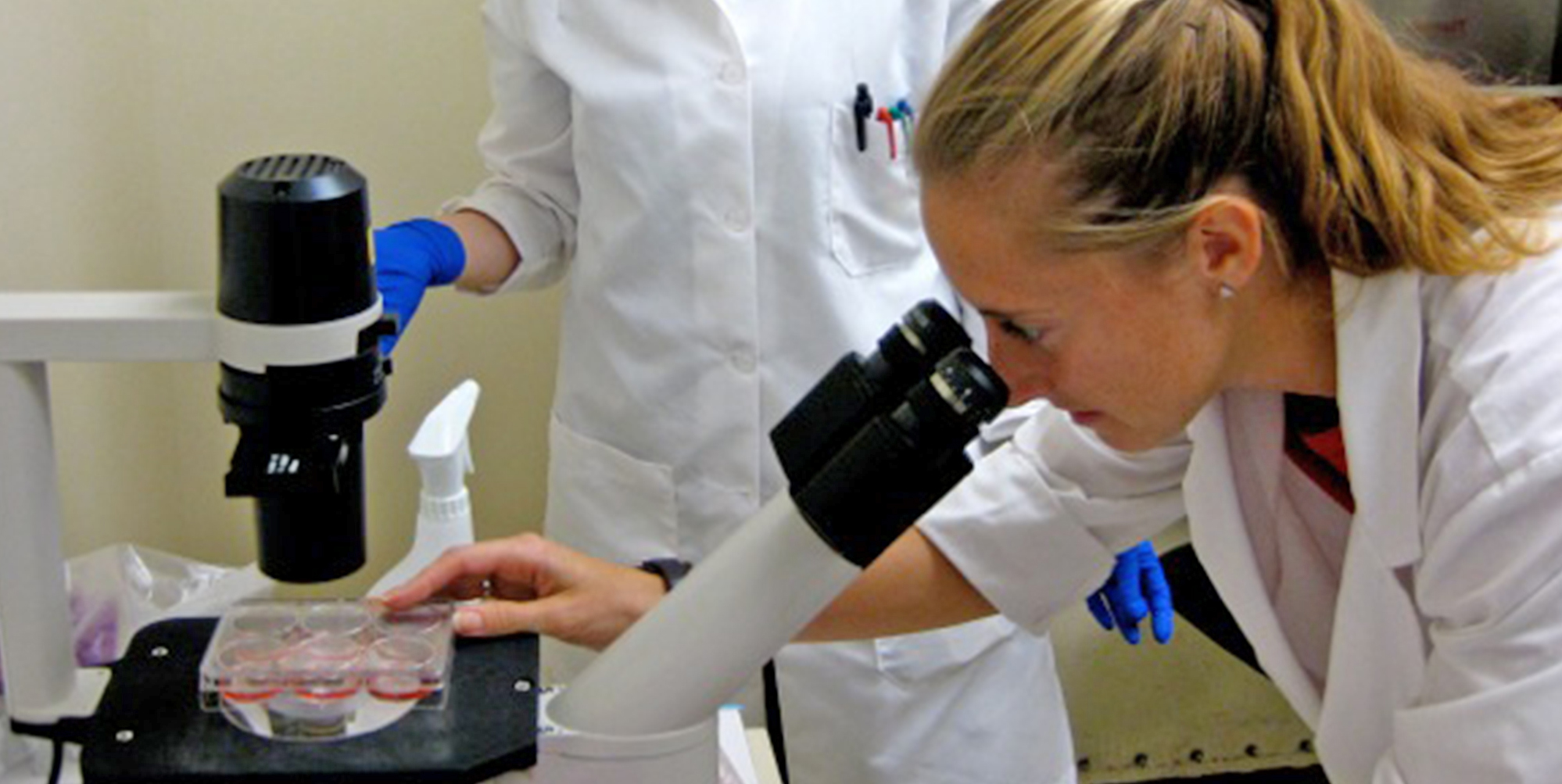 1 professor in his lab