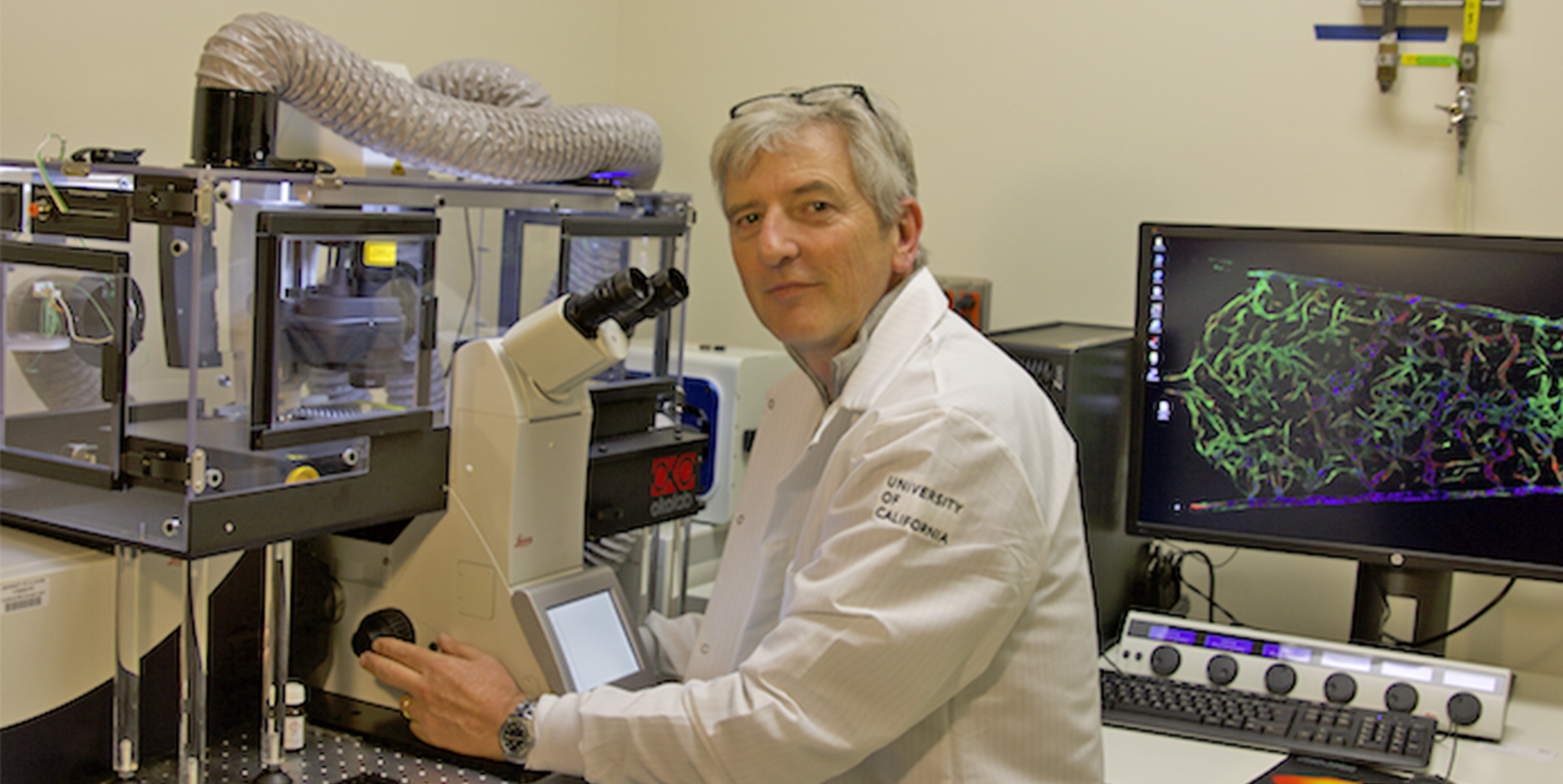 1 professor in his lab